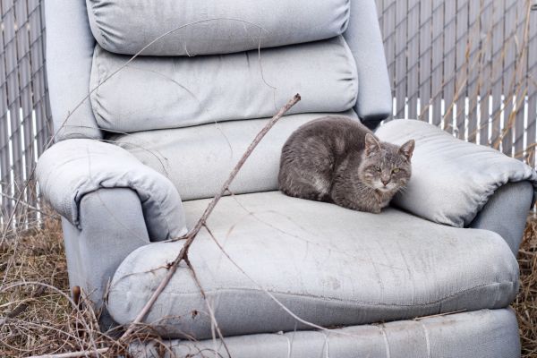 Recliner Disposal in Upper Marlboro
